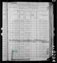 Census Bushnell - 1880c United States Federal Census