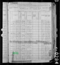 Census Bushnell - 1890c United States Federal Census