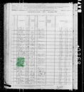 Census Dugger - 1880 United States Federal Census