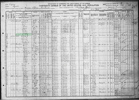 Census Dugger - 1910a United States Federal Census