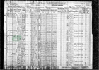 Census Dugger - 1930 United States Federal Census