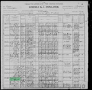 Census Hagan - 1900 United States Federal Census