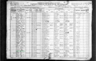 Census Tevis - 1920 United States Federal Census