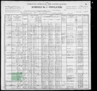 Census Wilson - 1900 United States Federal Census