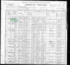 Census Wyatt - 1900 United States Federal Census