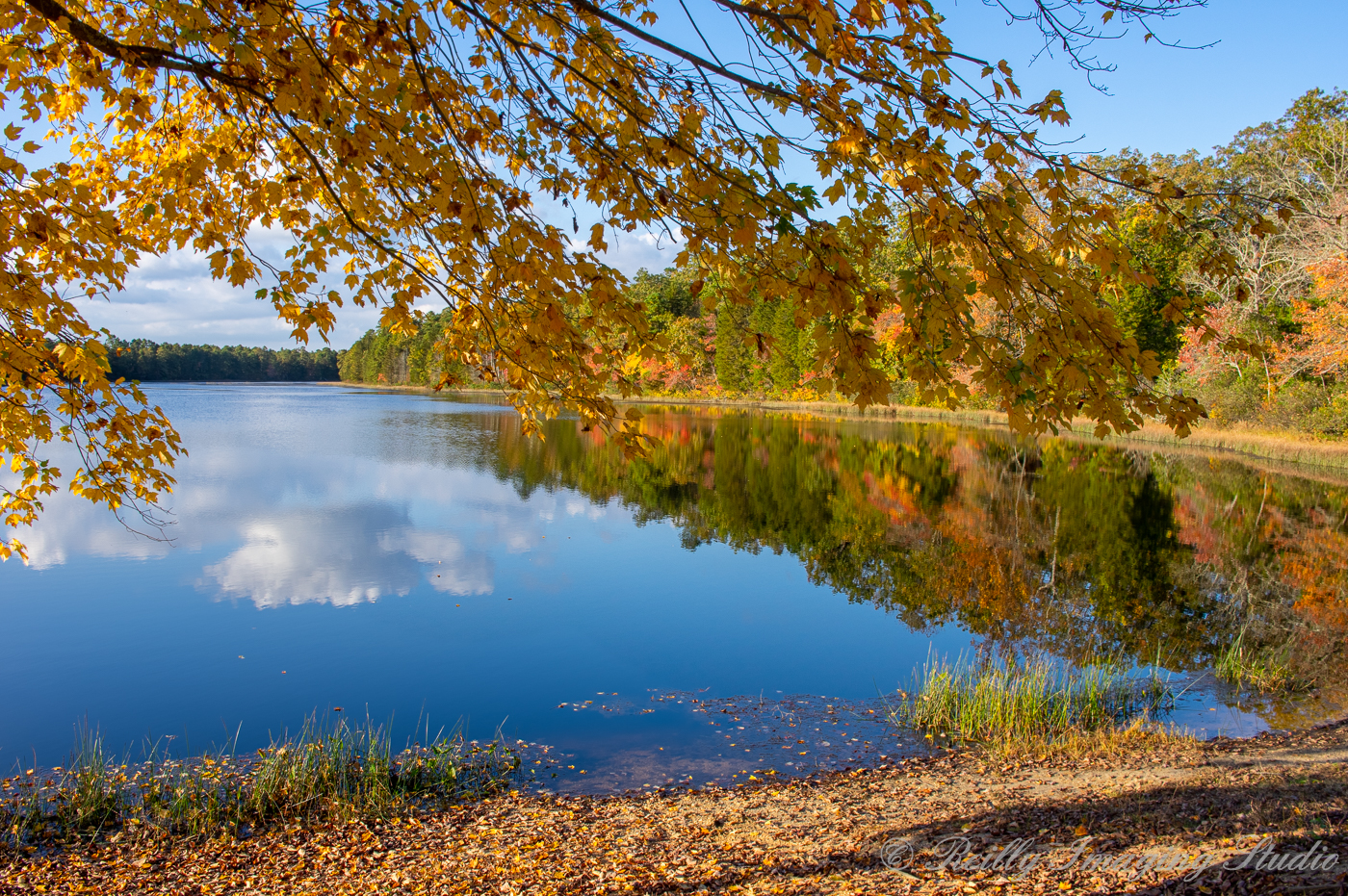 Batsto Village NJ 2020 Fall Foliage Dave Reillys Place