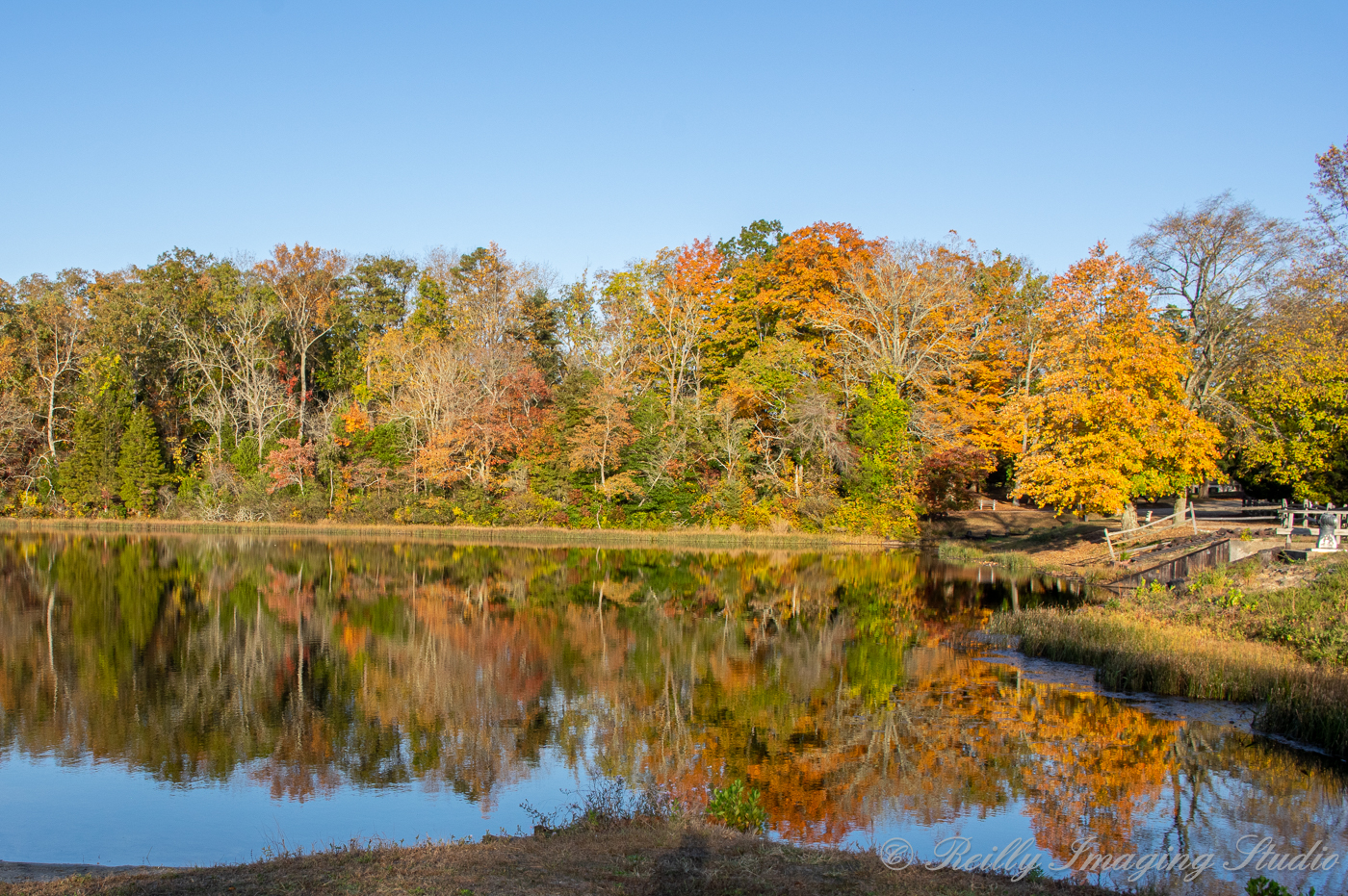 Batsto Village NJ 2020 Fall Foliage Dave Reillys Place